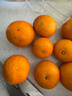 京鲜生 金秋砂糖橘/砂糖桔 5斤 生鲜水果礼盒  实拍图