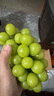 京鲜生 阳光玫瑰葡萄 青提4-4.5斤礼盒装 单果约10g 生鲜水果 生鲜礼盒 实拍图