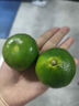 【东东农场专供】宜昌蜜桔新鲜青皮蜜橘酸酸甜甜介意勿拍新鲜采摘 蜜桔250g单果50mm+ 实拍图