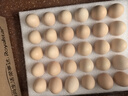 京觅富硒鲜鸡蛋 无抗生素  营养健康 30枚/盒3斤  源头直发 实拍图