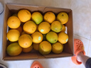 褚橙 云冠橙云南冰糖橙 优级果 净重10斤 单果约130g 水果源头直发 实拍图