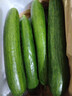 京鲜生 山东水果黄瓜 净重3斤 单果70g+ 青瓜荷兰瓜 源头直发 实拍图