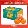 京鲜生 无核蜜桔 精选5斤装橘子/桔子  单果100g+ 生鲜水果礼盒 实拍图
