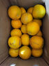 壹棵弘芯正宗现摘丑八怪柑橘子新鲜水果当季酸甜口湖北橘子生鲜整箱 特级5斤大果超值装 净重约为4斤+ 实拍图