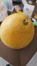 饶情广丰正宗马家柚 饶情精选贡果 大南镇基地现摘红心柚子新鲜水果 马家柚 推荐：品质中果2个【4-5斤】 实拍图
