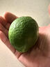 京鲜生 海南香水柠檬 2斤 单果90g-120g 生鲜水果 实拍图
