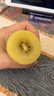 佳沛（zespri）新西兰 阳光金奇异果12粒礼盒特大果单果约122-146g 猕猴桃 水果 实拍图