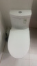 箭牌（ARROW） 国家补贴】墙排马桶 直冲式座便器家用后排静音防臭坐便器1126H AE1126H墙排/后排马桶 实拍图