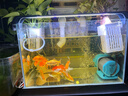吉印刀锋s鱼缸灯led灯防水全光谱鱼缸照明灯水草灯小型超白鱼灯36cm 实拍图