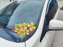 瑞盾（RUIDUN）汽车贴膜 车膜 汽车膜隔热防爆防晒太阳膜前挡风玻璃膜黑色隐私膜 RD70冰蓝前挡+RD50中黑侧后 全车膜都有 实拍图