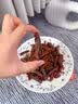 糕赞香酥油炸蚂蚱90g 开袋即食山东特产高蛋白烧烤下酒菜解馋小零食 实拍图