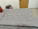 雅鹿·自由自在A类被子抗菌春秋冬季棉被芯单双人宿舍学生5斤150x200cm 古典灰 实拍图