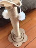 疯狂的主人猫抓柱剑麻猫抓板猫玩具耐抓耐磨不掉屑立式猫爬架自嗨解闷磨爪子 实拍图