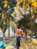 优衣库罗纹针织喇叭裙女装478325 09 黑色 M /160/68A 实拍图