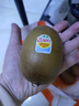 佳沛（zespri）新西兰  阳光金奇异果10粒礼盒巨大果单果约144-175g 水果 猕猴桃 实拍图
