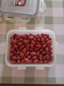 十月稻田 花生米 2斤 (中粒 红皮 生花生米 东北 五谷 杂粮 粗粮 真空装) 实拍图