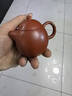 藏壶天下【政府补贴】小容量宜兴紫砂壶纯手工紫砂茶具朱泥泡茶壶龙蛋壶 实拍图