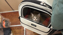 喵先生猫包外出大号宠物包太空舱猫咪背包便携包猫狗双肩包猫包车载箱包 卡其棕 实拍图