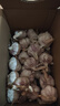 京鲜生河南杞县大蒜带皮干蒜净重5斤单果5.5-6cm 源头直发包邮 实拍图