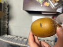 佳沛（zespri）新西兰  阳光金奇异果10粒礼盒巨大果单果约144-175g 水果 猕猴桃 实拍图