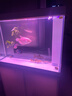 森森（SUNSUN）大型鱼缸底过滤水族箱客厅家用落地玻璃生态金鱼缸 【实时温显+灯控】珍珠白 1米长35cm宽 实拍图