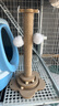 欢宠网猫抓柱猫抓板猫爬架猫玩具猫咪立式剑麻自嗨解闷神器猫猫小猫幼猫 实拍图