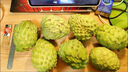 鲜福林云南牛奶凤梨释迦果新鲜应季水果超甜糯番荔枝 3斤净重单果150g+（新鲜直发） 实拍图