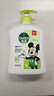 滴露（Dettol）洗手液抑菌滋润茉莉绿茶500g 儿童洗手液消毒 滋润护手米奇米妮版 实拍图