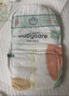 babycareAir pro纸尿裤大号L40片(9-14kg) 婴儿尿不湿夏日超薄透气 实拍图