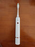 博皓（prooral）声波电动牙刷护龈压感提醒 自动牙刷成人充电式 情侣款 生日礼物T33 白色 实拍图