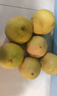 京鲜生 梅州白心蜜柚 单果1.5起 净重10斤 生鲜水果 源头直发包邮 实拍图