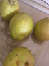 京鲜生 新疆库尔勒香梨 净重10斤 特级 单果120g以上 生鲜水果 实拍图