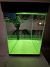 森森超白玻璃鱼缸一体缸自循环免安装XHE-480(黑) 晒单实拍图