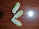 云南高原娃娃菜新鲜蔬菜生鲜乾隆白菜早餐火锅必备产地直发 浅黄色 新鲜娃娃菜3颗装*2包 实拍图