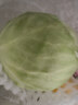 高原夏菜新鲜包菜卷心菜绿甘南菜甘蓝圆白菜时令蔬菜健康营养早餐 3斤带箱农家好菜 实拍图