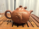 百年利永宜兴紫砂壶纯全手工原矿朱泥鱼化龙壶功夫茶具泡茶壶 实拍图