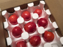 京鲜生 山东海阳普罗旺斯净重4.5斤单果150g起新鲜沙瓤西红柿源头直发 实拍图