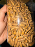 比比妙巴西松子净重400g/罐 长颗粒阿富汗进口手剥松子2025新货坚果零食 实拍图