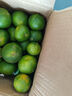 京喜加云南湖北青皮蜜桔橘子高山青皮酸桔子应季时令水果孕妇生鲜 蜜桔带箱1斤50-60mm 实拍图