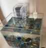 坤宁王金晶超白玻璃鱼缸桌面造景小鱼缸家用客厅裸缸一体缸20*14*16cm 实拍图