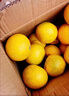 沙窝曙光葡萄柚子爆汁纯甜黄心西柚新鲜水果生鲜国庆 黄金葡萄柚4.5斤礼盒 实拍图