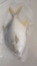 翔泰 海南深海金鲳鱼2.4斤/3-4条净重 BAP认证 生鲜鱼类 海鲜水产  实拍图