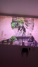 极米Z9X 4K 全新轻薄4K光学变焦投影 1300CVIA真实高亮 家用智能投影仪高清家庭影院云台 国家补贴 实拍图