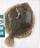 鲜活多宝鱼450-550g/条 实拍图