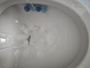 超威洁厕泡泡500ml*2除菌除垢马桶清洁剂 免刷洗洁厕灵洁厕液家庭清洁 实拍图