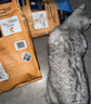 素力高（SolidGold）进口高蛋白金装金素鸡长肉营养成猫幼猫猫粮12磅/5.44kg 实拍图