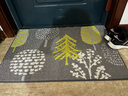 大江 入户地垫进门脚垫进户门玄关门口地垫入户门60x90cm 落叶 实拍图
