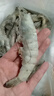 东上御品虾 青岛大虾基围虾鲜活青虾白虾海虾对虾冰虾冻虾生鲜 虾类 海鲜 3斤(净重)  气冻大虾【活虾速冻】 15-18cm【单只超大虾】 实拍图