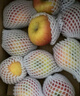 京鲜生 塞外红阿克苏苹果礼盒 净重10斤 果径80-85mm  实拍图