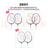 YONEX尤尼克斯羽毛球拍全碳素弓箭对拍套装ARC5I附手胶拍包尼龙球 实拍图